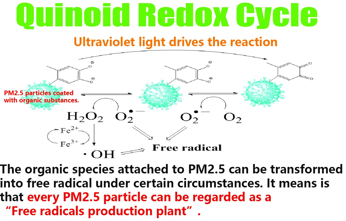 The free radicals from air pollution (PM2.5)