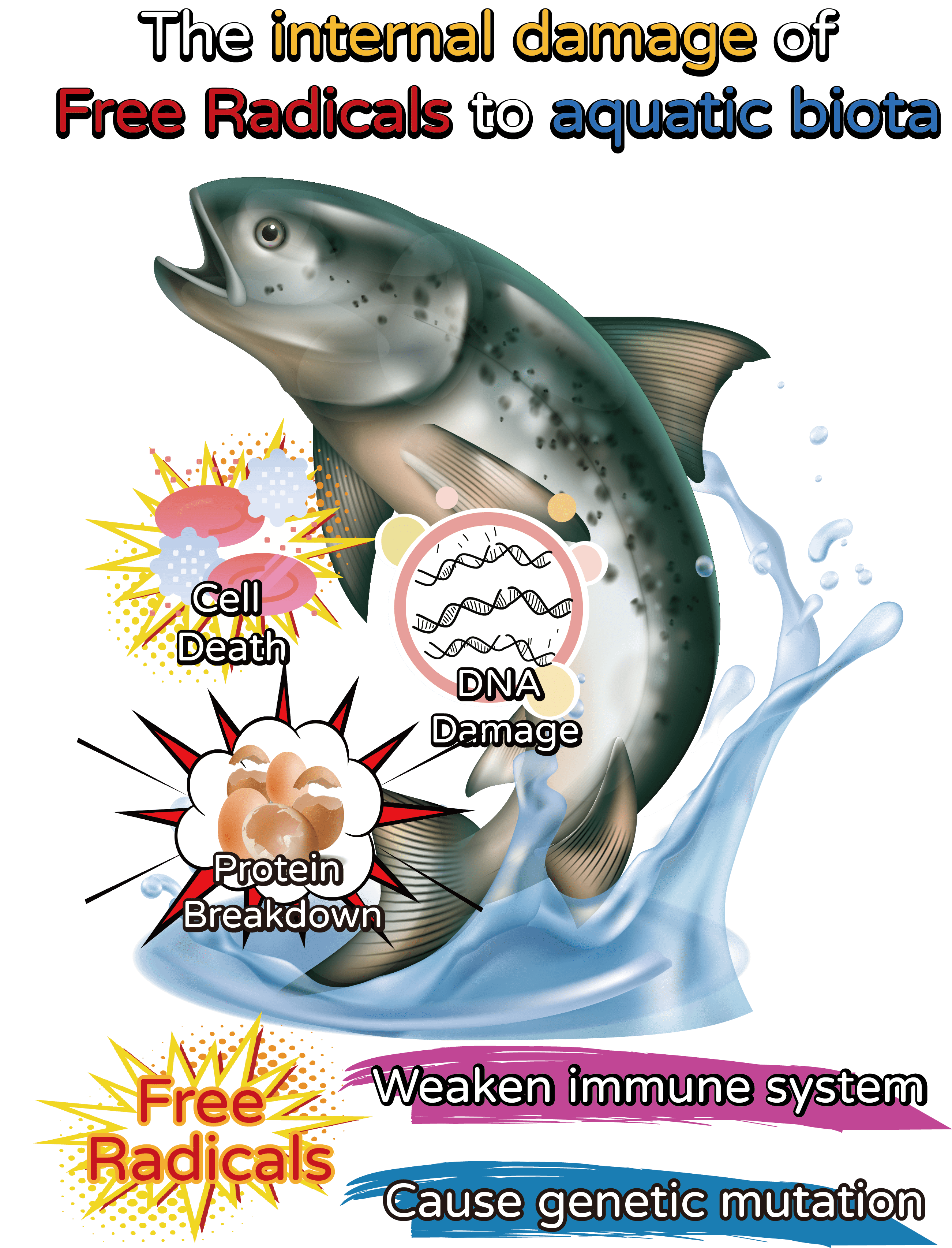 Free Radicals Chain Reaction